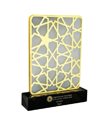 International Business Excellence Award Winner 2016